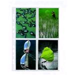 BUSTA A4 PORTA PHOTO CM 10 X 15. FORATURA UNIVERSALE FINITURA LISCIA. CONF 10 PZ